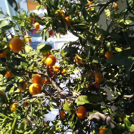 Appartamento Josini Dvori Biograd Na Moru
